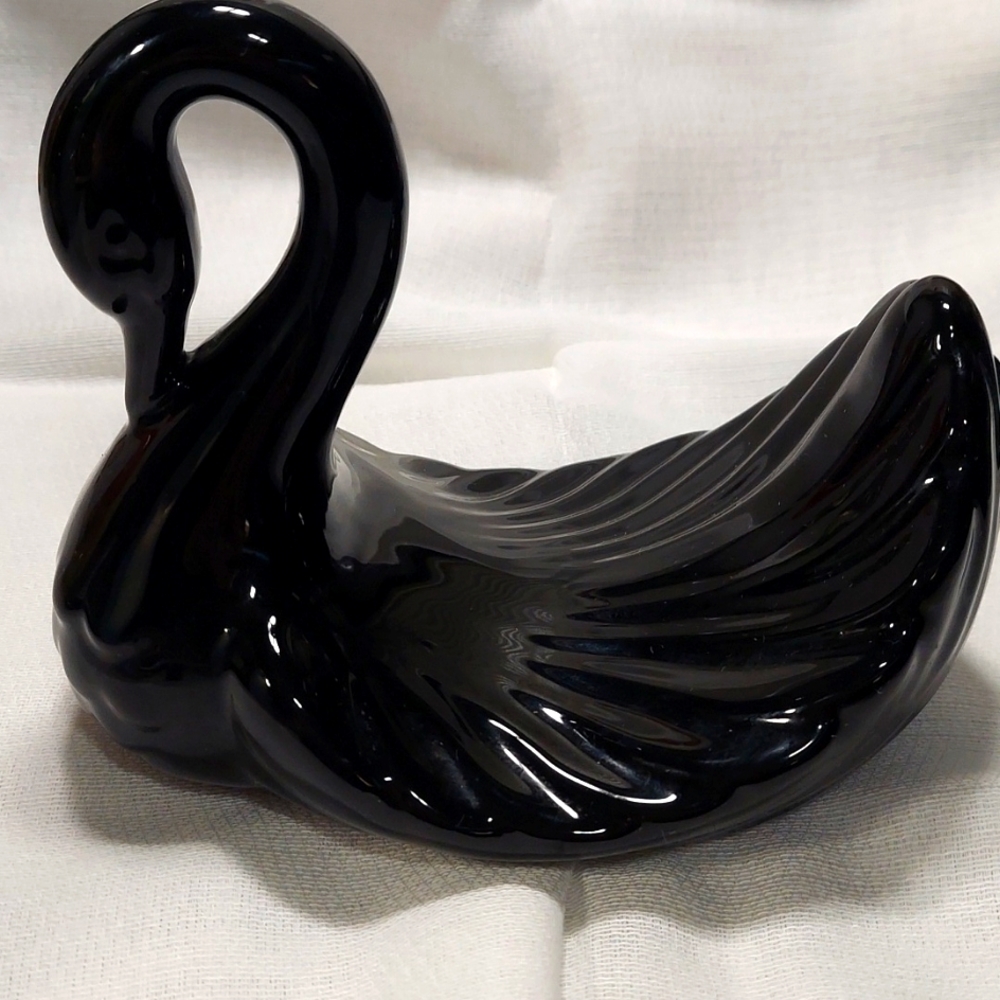 Black Swan by Andre Richard